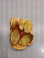 Огурцы соленые ФерЭльГам фото