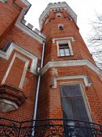 Замок принцессы Ольденбургской (Россия, Рамонь) фото
