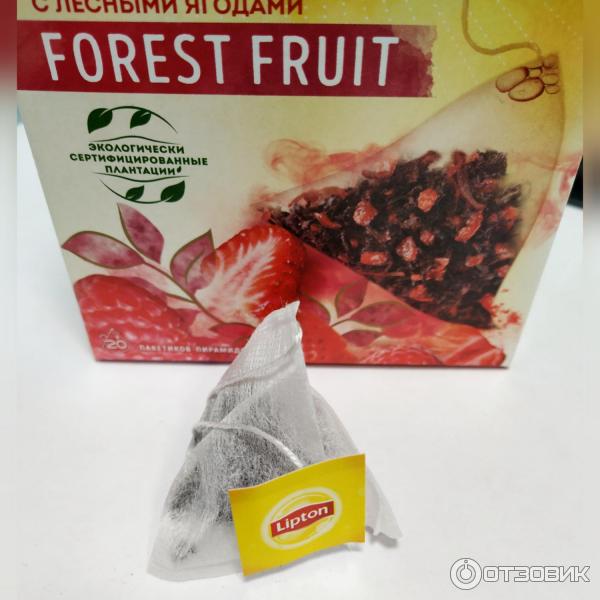 Чай Lipton Forest Fruit фото