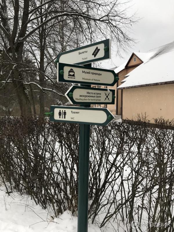 Музей Природы в Приокско-Террасном заповеднике (Россия, Московская область) фото