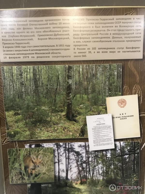 Музей Природы в Приокско-Террасном заповеднике (Россия, Московская область) фото