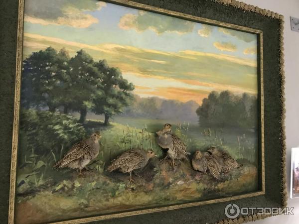 Музей Природы в Приокско-Террасном заповеднике (Россия, Московская область) фото