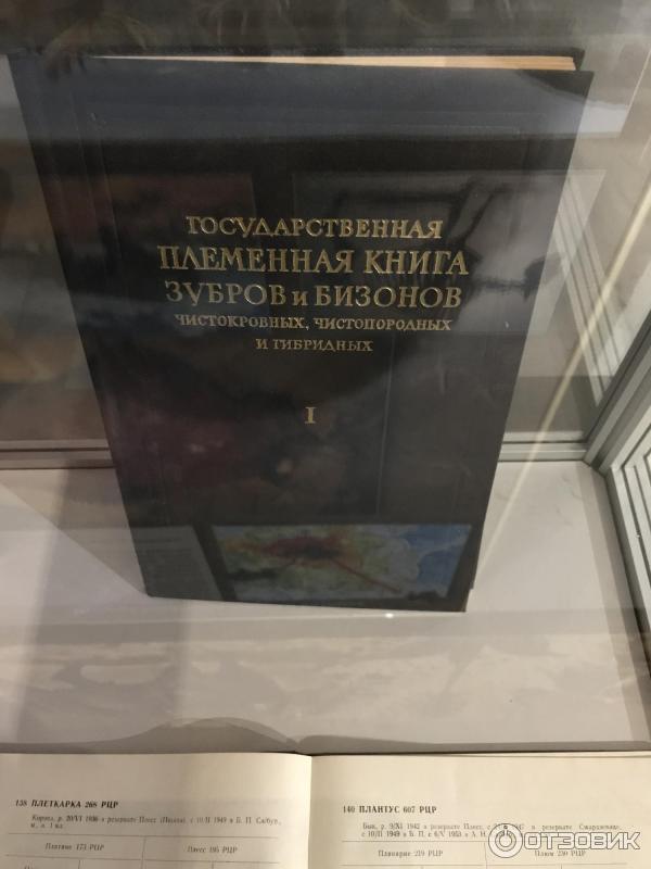 Музей Природы в Приокско-Террасном заповеднике (Россия, Московская область) фото