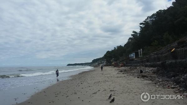 Достопримечательности Светлогорска (Россия, Калининградская область) фото