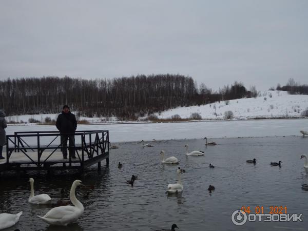 Экскурсия в Псковскую область (Россия, Псковская область) фото