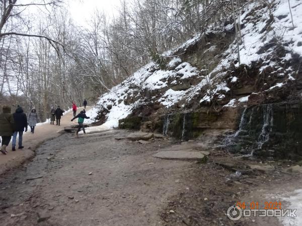 Экскурсия в Псковскую область (Россия, Псковская область) фото