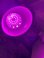 Светодиодная лампа Uniel LED для растений фото