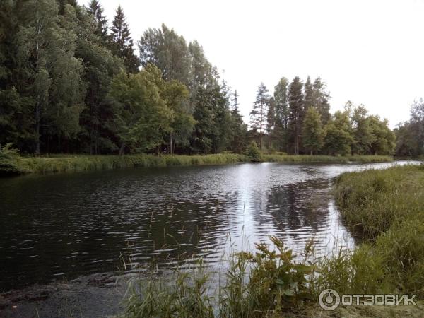 Павловский парк, река