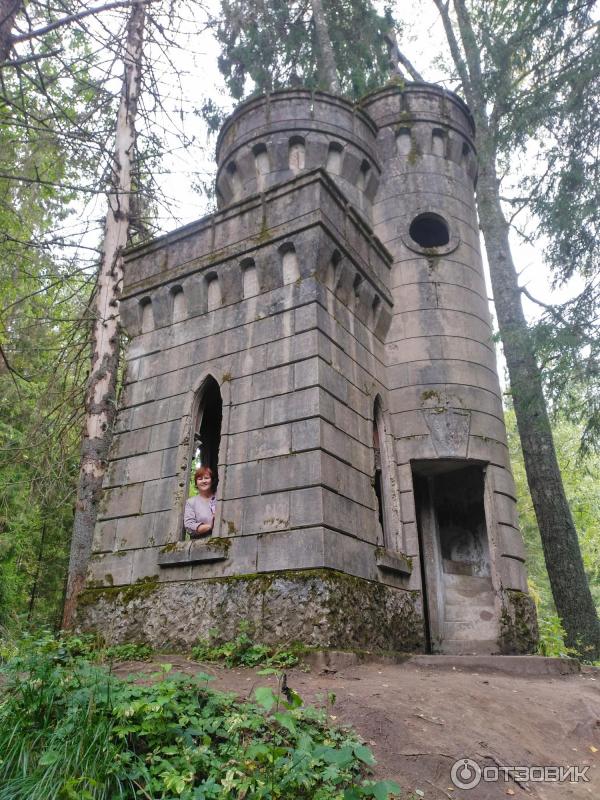 Усадьба инженера Токарского Заветное (Россия, Новгородская область) фото