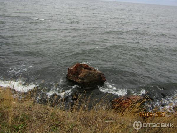 Балтийская коса (Россия, Калининградская область) фото