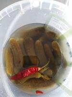 Огурцы соленые ФерЭльГам фото