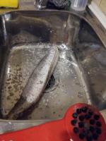 Рыбочистка LuxFish фото