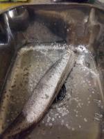 Рыбочистка LuxFish фото