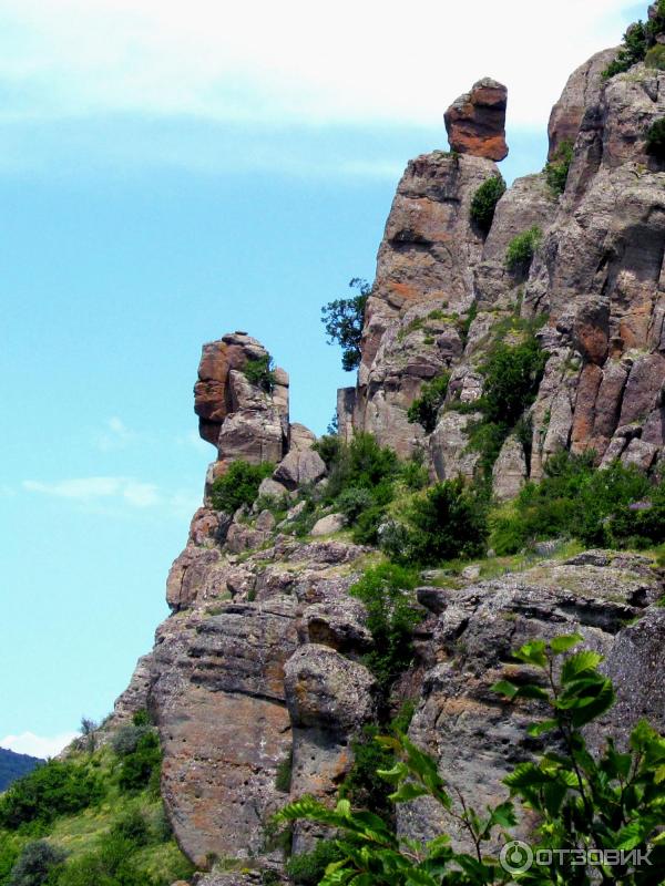 Экскурсия Южный берег Крыма (Крым) фото