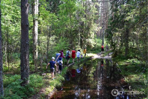 Загородный клуб Good Life (Россия, Костромская область) фото