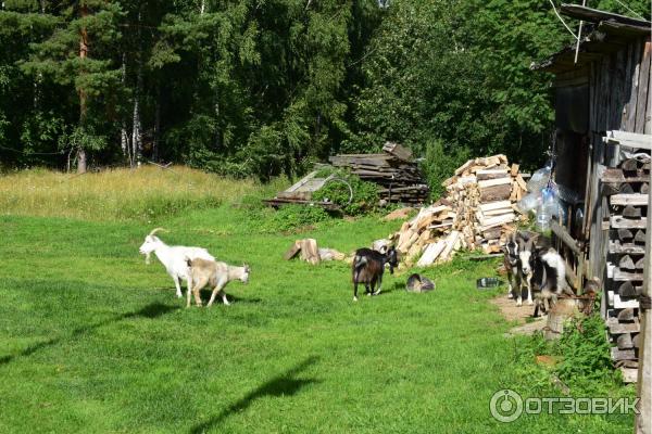 Загородный клуб Good Life (Россия, Костромская область) фото