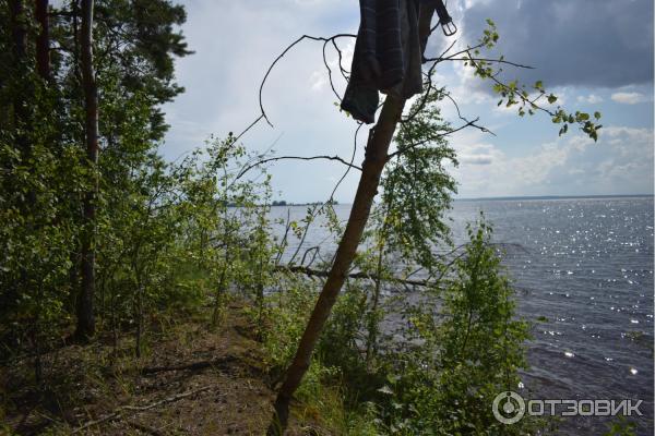 Загородный клуб Good Life (Россия, Костромская область) фото