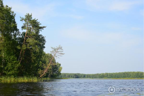 Отдых на реке Немда (Россия, Костромская область) фото