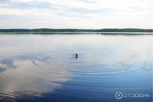 Отдых на реке Немда (Россия, Костромская область) фото