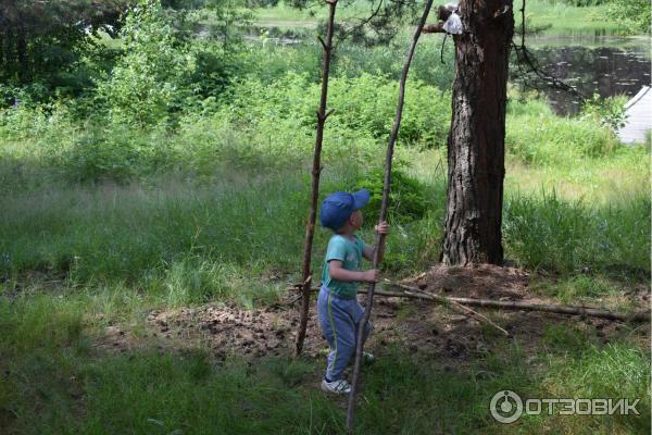 Отдых на реке Немда (Россия, Костромская область) фото