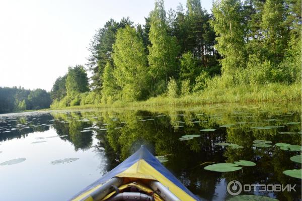 Отдых на реке Немда (Россия, Костромская область) фото