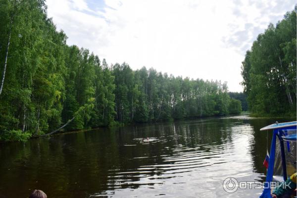 Отдых на реке Немда (Россия, Костромская область) фото