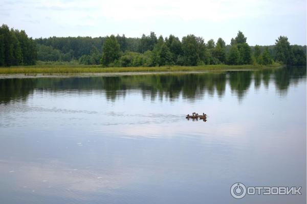 Отдых на реке Немда (Россия, Костромская область) фото