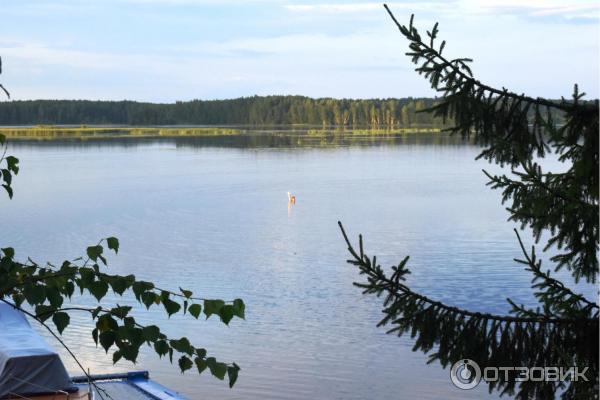 Отдых на реке Немда (Россия, Костромская область) фото