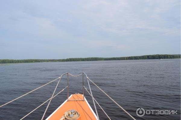 Отдых на реке Немда (Россия, Костромская область) фото