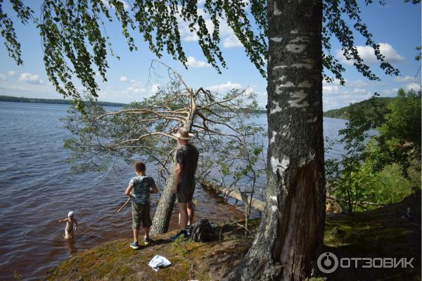 Отдых на реке Немда (Россия, Костромская область) фото