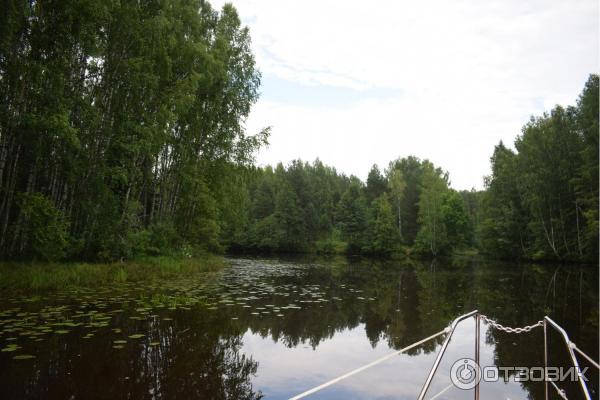 Отдых на реке Немда (Россия, Костромская область) фото