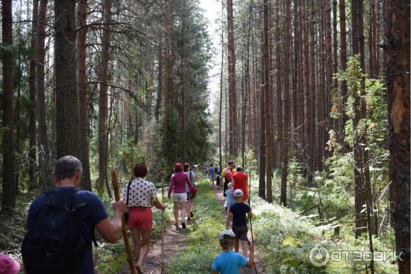 Отдых на реке Немда (Россия, Костромская область) фото