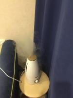 Увлажнитель воздуха Zanussi ZH 2 фото