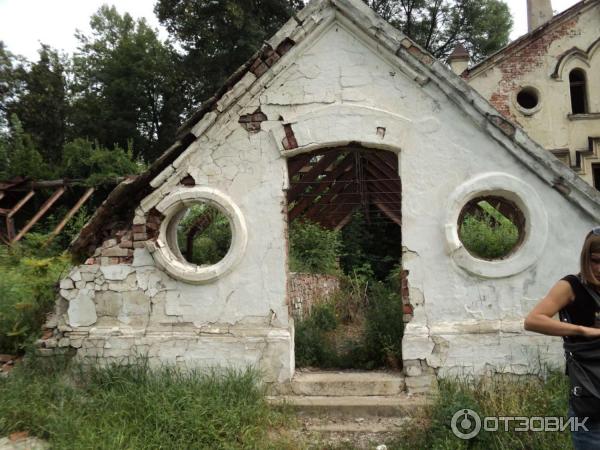 Шаровский дворцово-парковый комплекс (Украина, пгт. Шаровка) фото