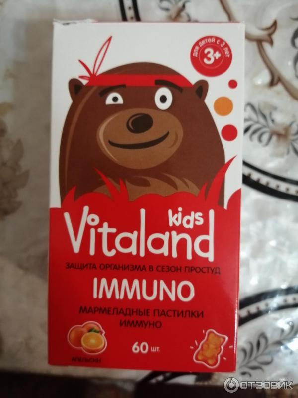 Жевательные пастилки Vitaland Kids Immuno фото