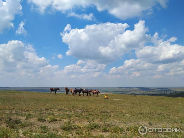 Белая скала / Ак-Кая (Крым) фото