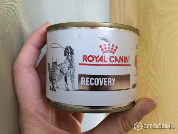 Корм для кошек и собак Royal Canin Recovery - отзыв от владелицы котов