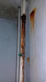 Военный санаторий "Волга" (Россия, Самара) фото