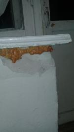 Военный санаторий "Волга" (Россия, Самара) фото