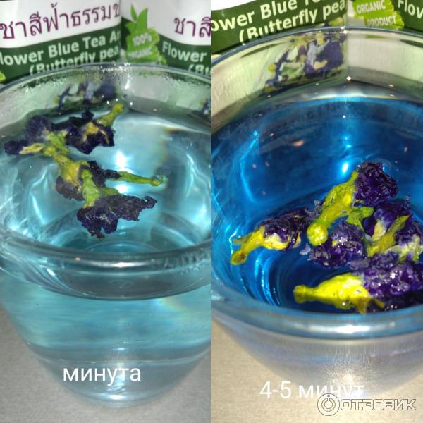 Синий чай Green Organic Anchan Butterfly Pea фото