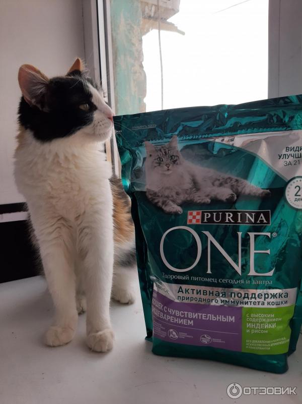 Пурина, Purina one, для кошек с чувствительным пищеварением