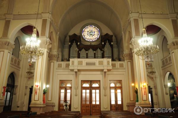 Достопримечательности г. Пунта-Аренас (Чили) фото