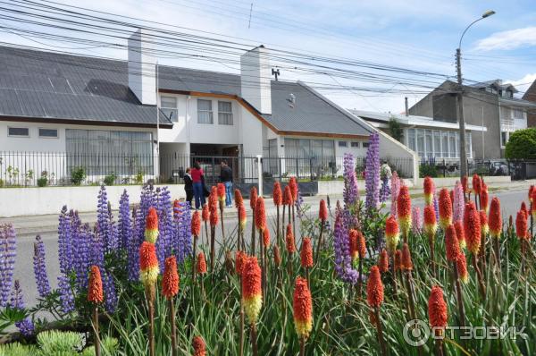 Достопримечательности г. Пунта-Аренас (Чили) фото