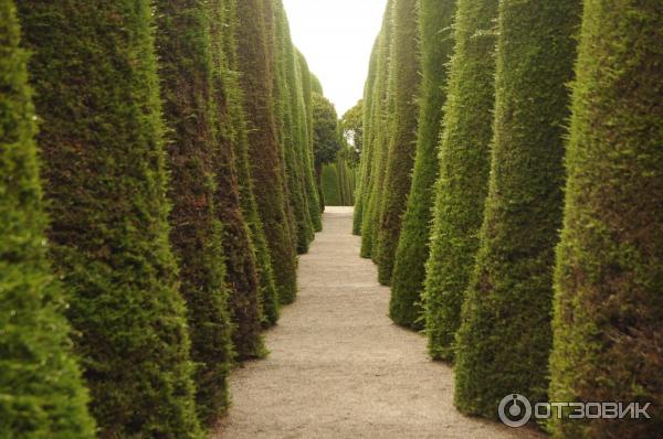 Достопримечательности г. Пунта-Аренас (Чили) фото