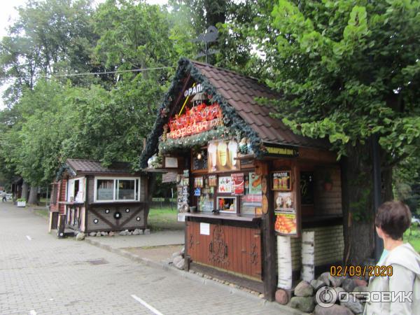 Центральный парк культуры и отдыха (Россия, Калининград) фото