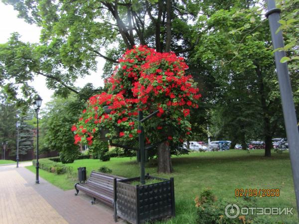 Центральный парк культуры и отдыха (Россия, Калининград) фото