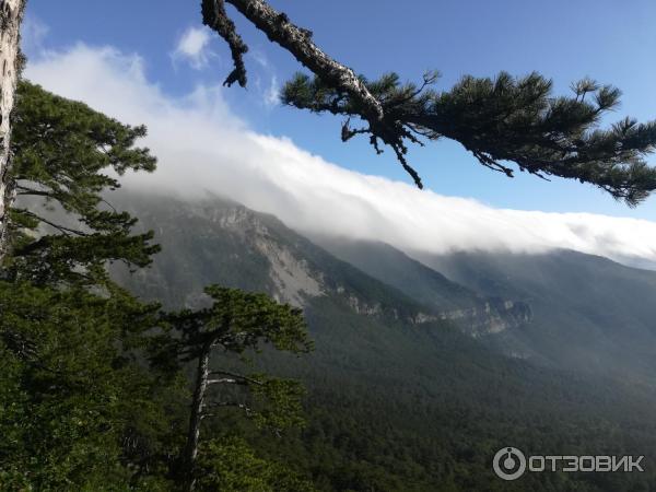 Смотровая площадка Серебряная беседка (Крым, Ялта) фото