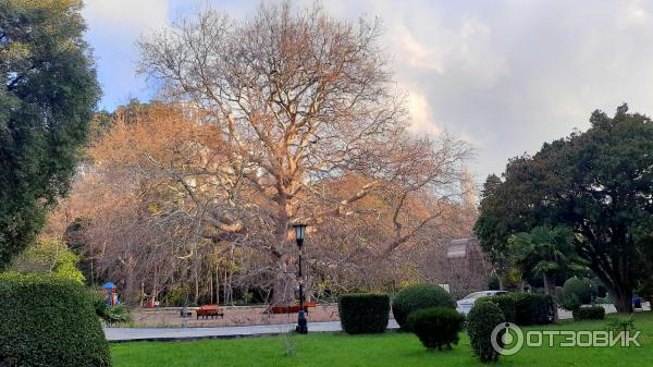 Ландшафтный парк Нижняя Ореанда (Крым, Ялта) фото