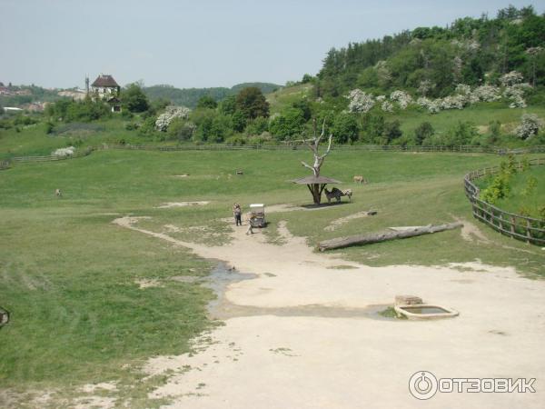 Пражский зоопарк (Чехия, Прага) фото