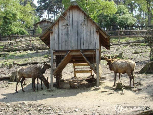 Пражский зоопарк (Чехия, Прага) фото